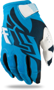 Blue/White