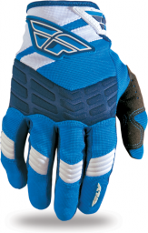 Blue/White